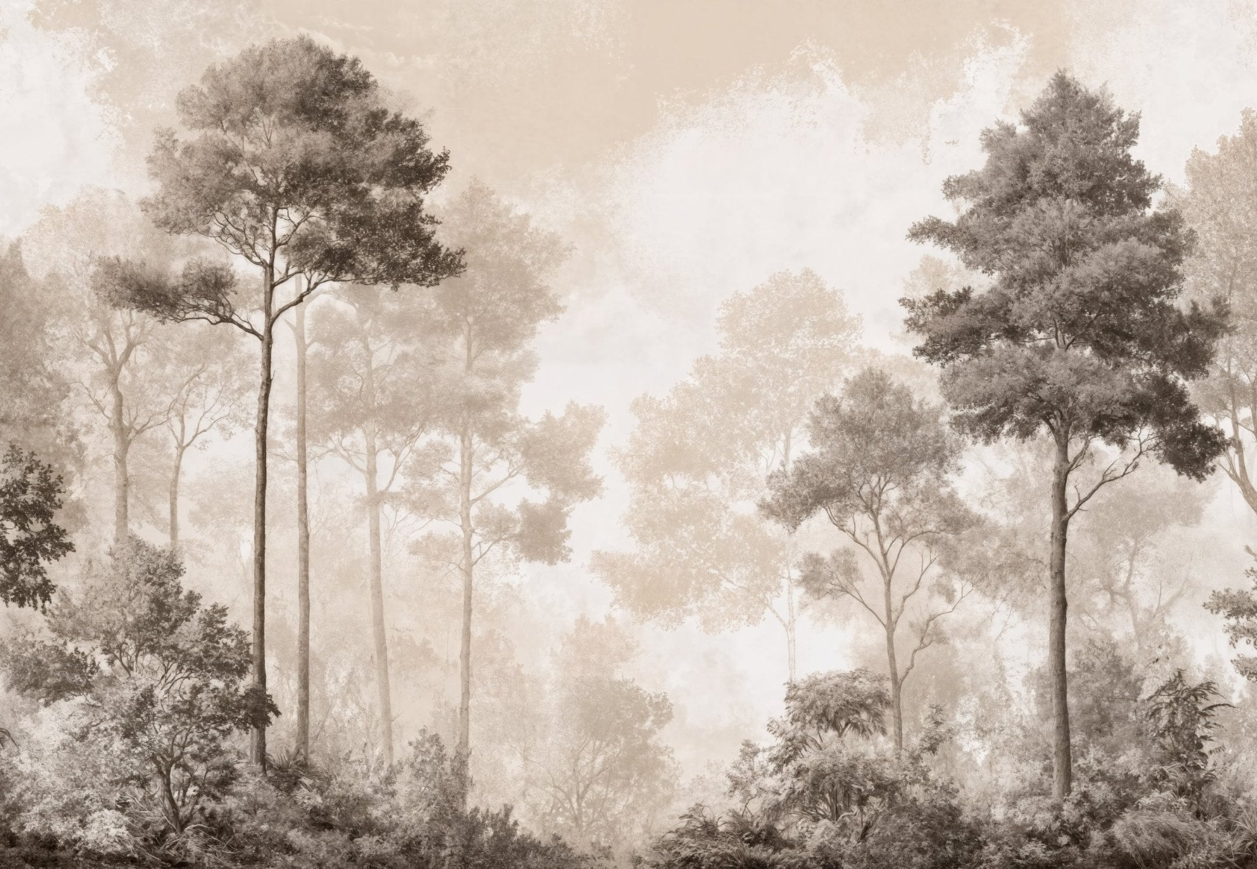 Forêt des Silences