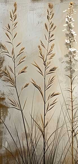 Image croppée