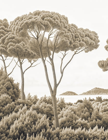Image croppée