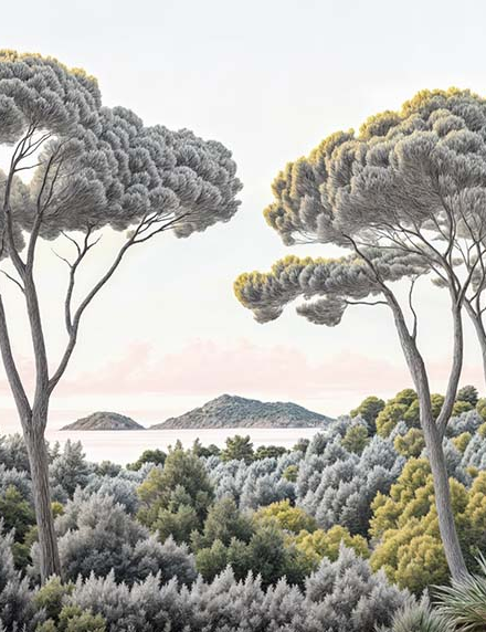 Image croppée