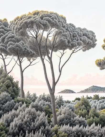 Image croppée