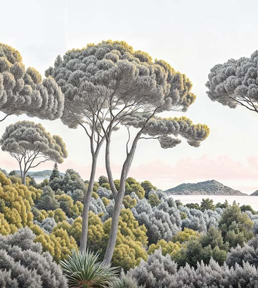Image croppée