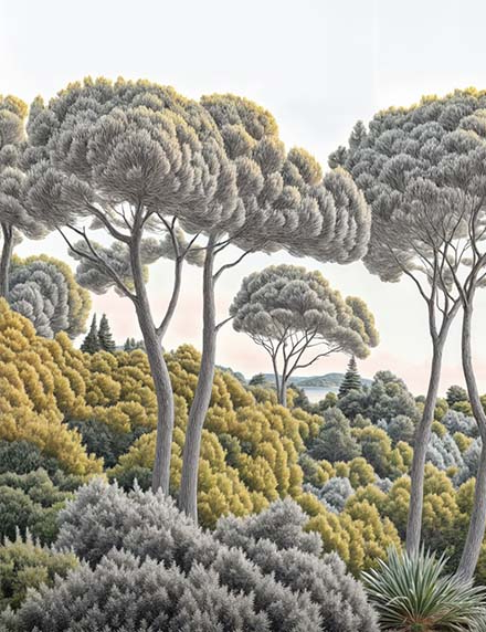 Image croppée
