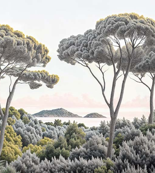 Image croppée
