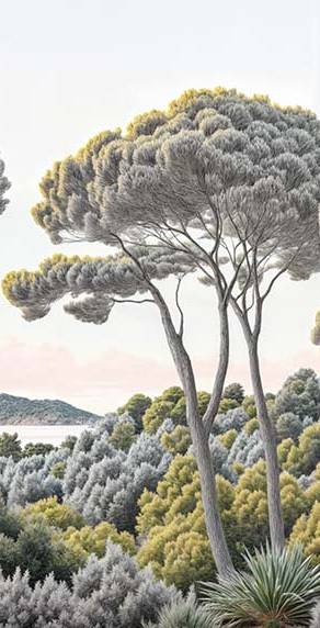 Image croppée