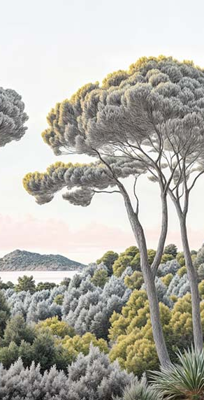 Image croppée