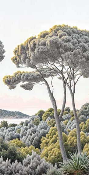 Image croppée