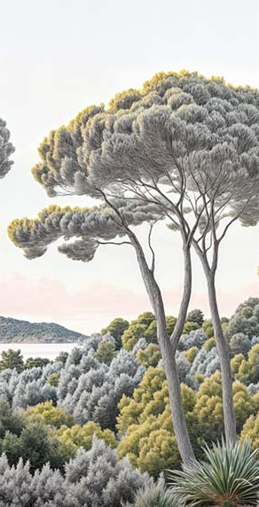 Image croppée