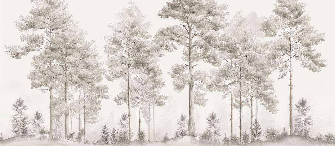 Image croppée