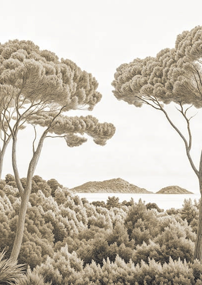 Image croppée