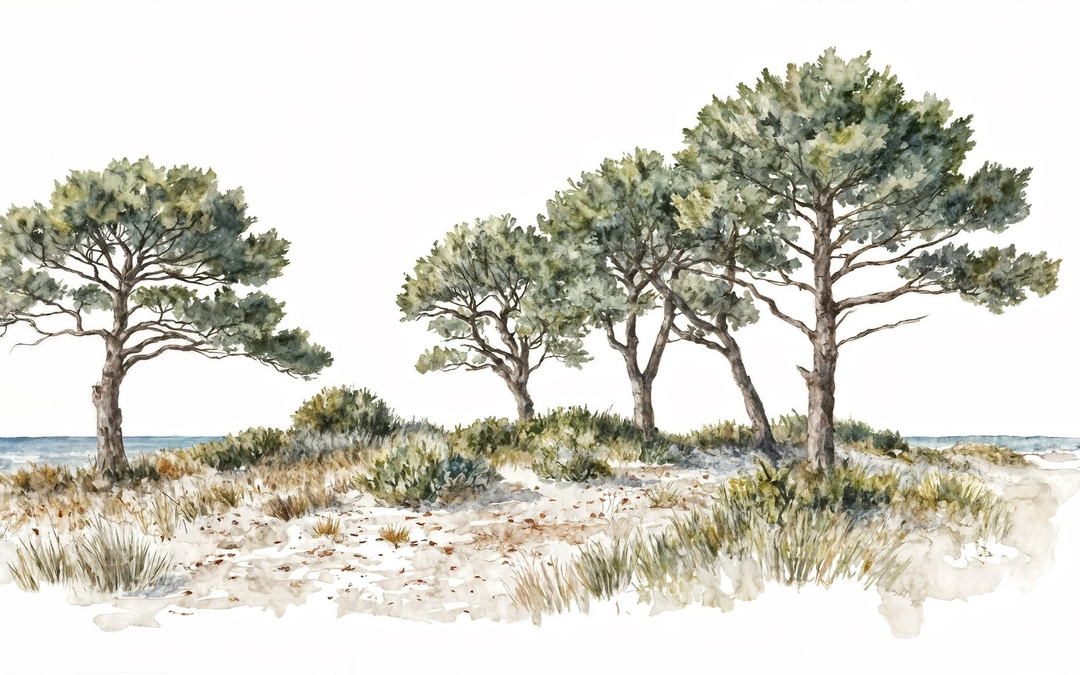 Image croppée