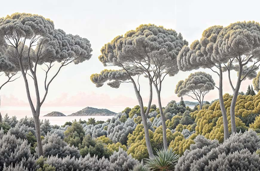 Image croppée