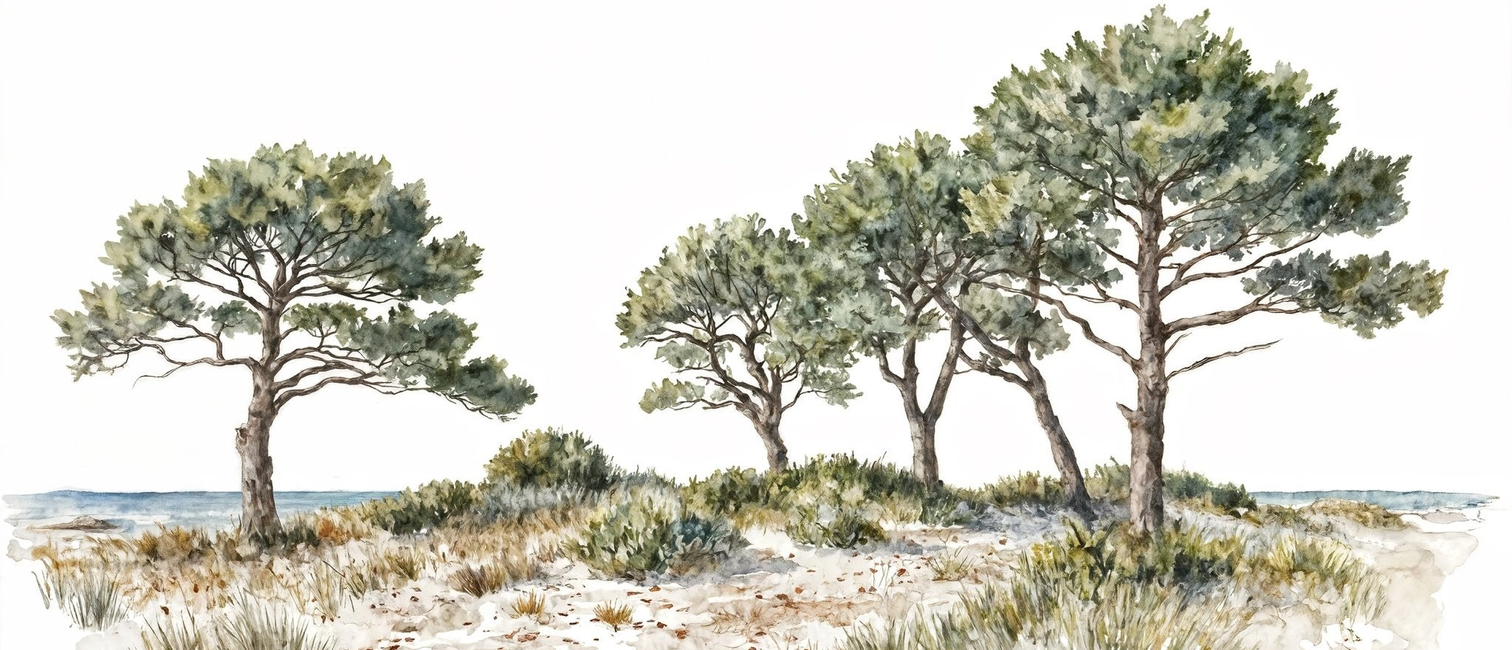 Image croppée