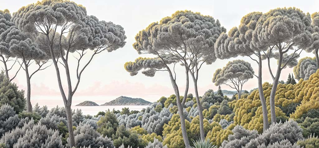 Image croppée