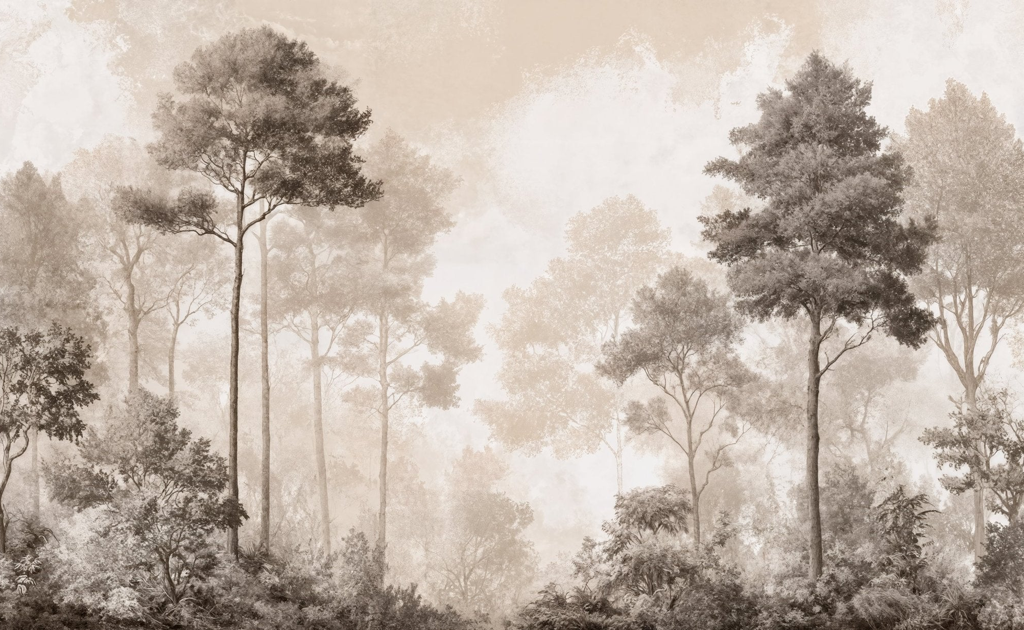 Forêt des Silences