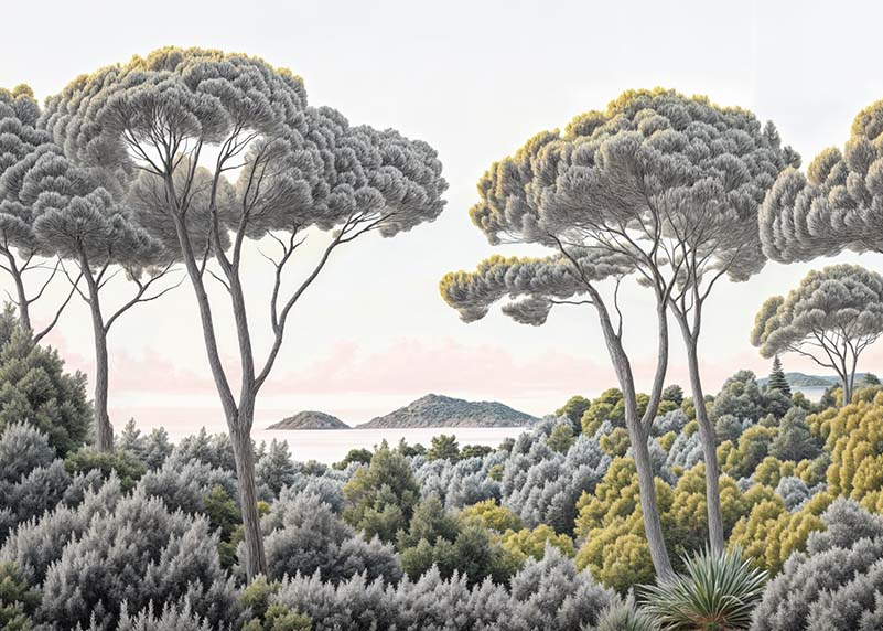 Image croppée