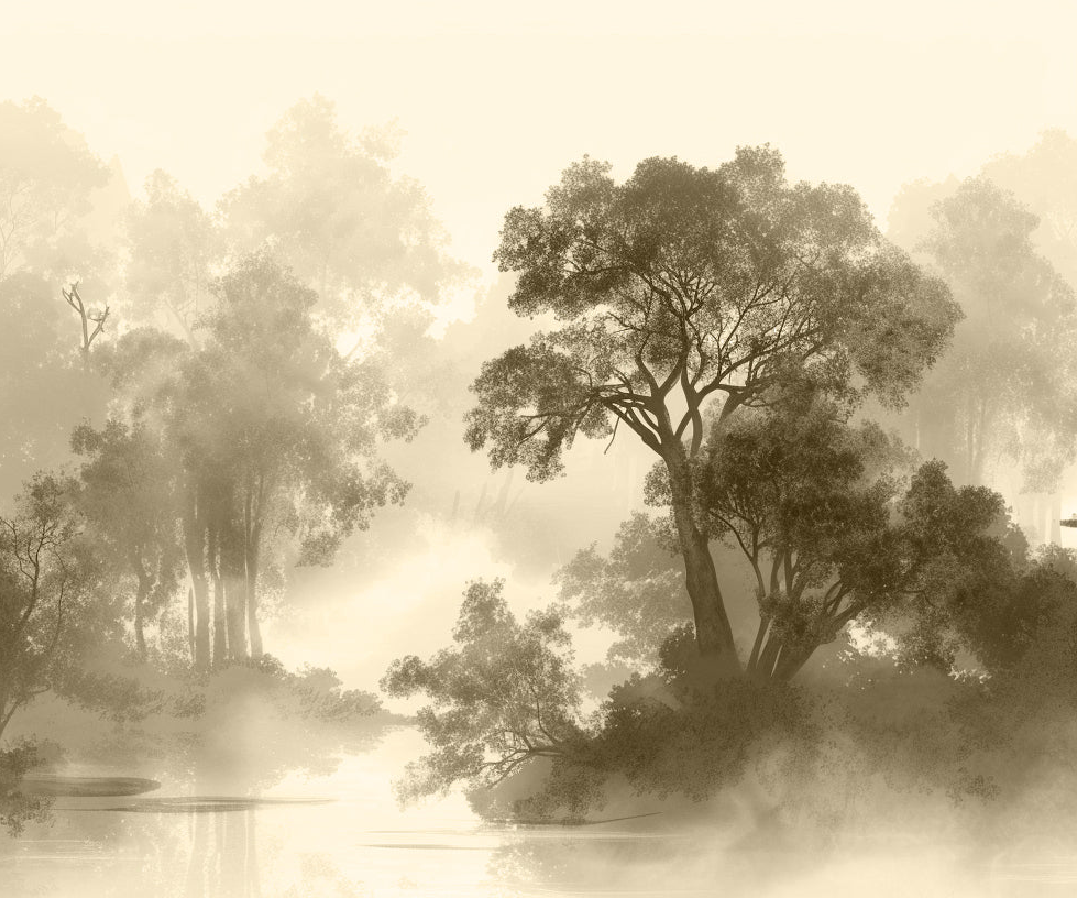 Voile de brume
