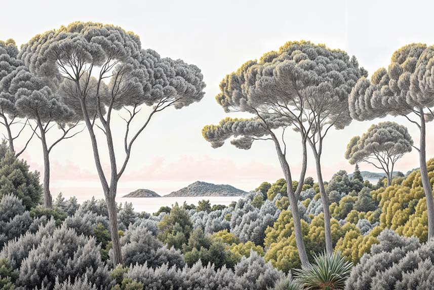 Image croppée