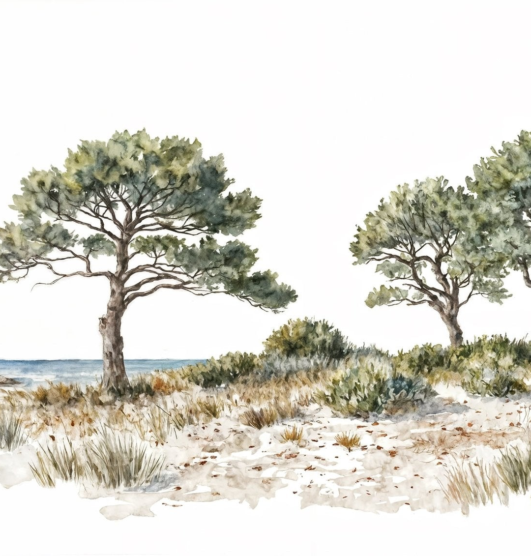 Image croppée