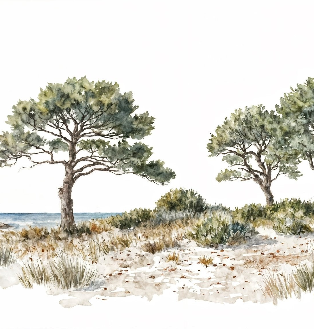 Brise des dunes