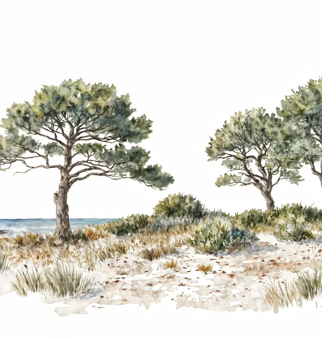 Image croppée