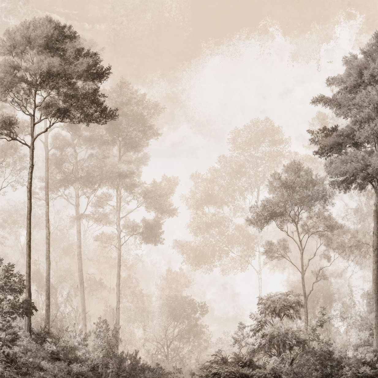 Image croppée