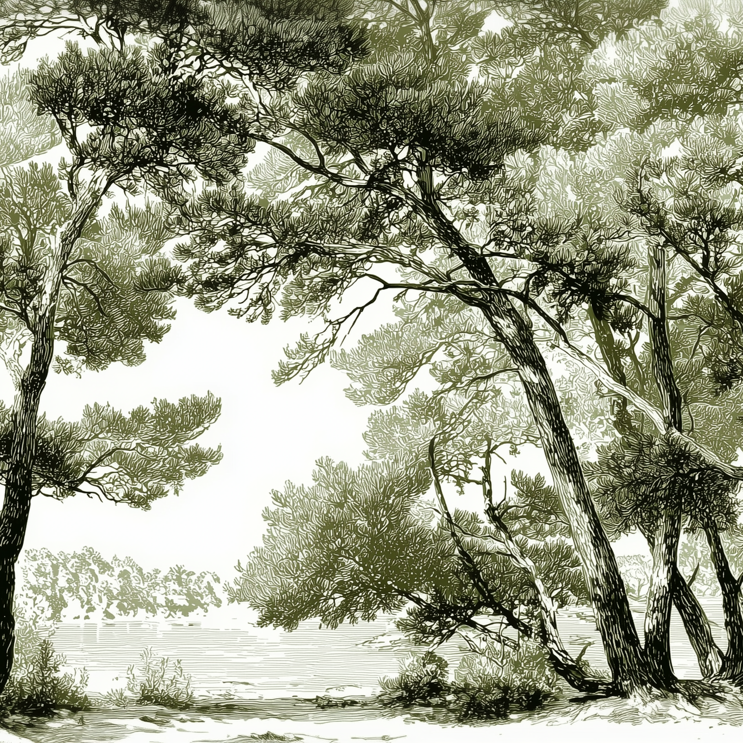 Image croppée