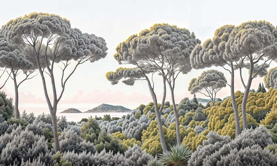 Image croppée