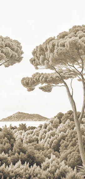 Image croppée