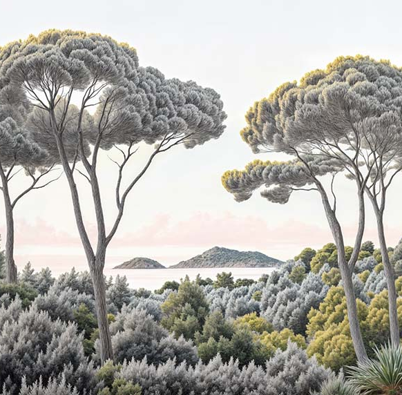 Image croppée