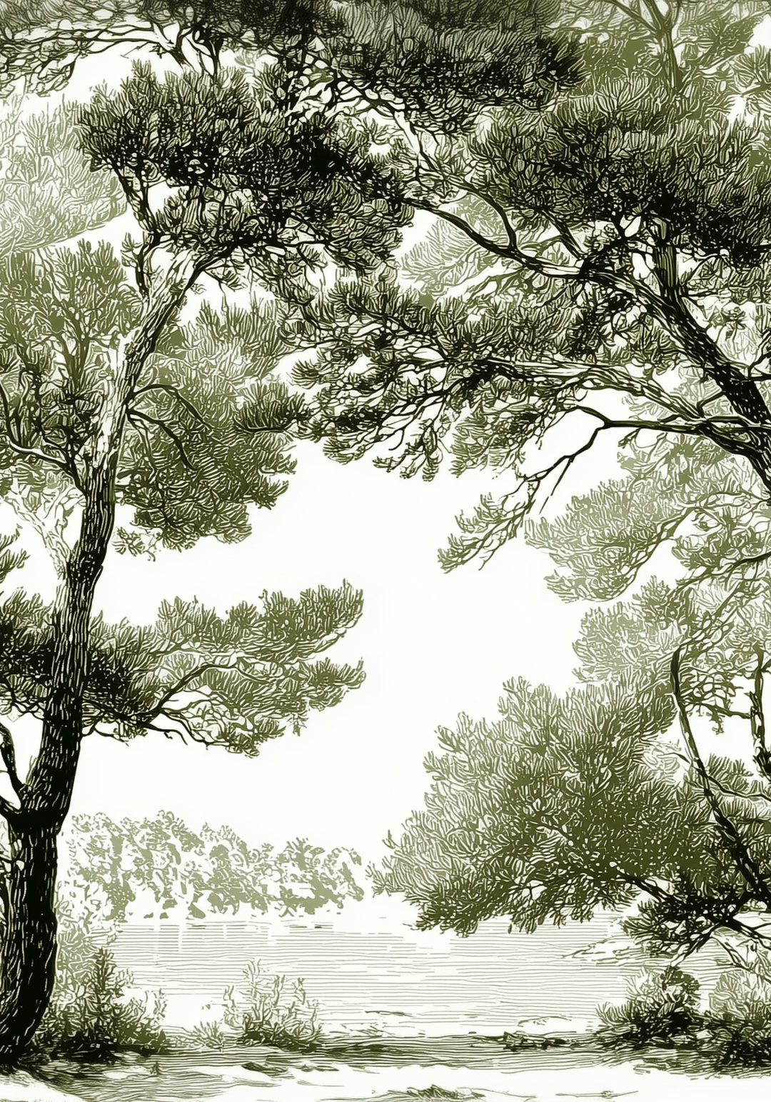 Image croppée
