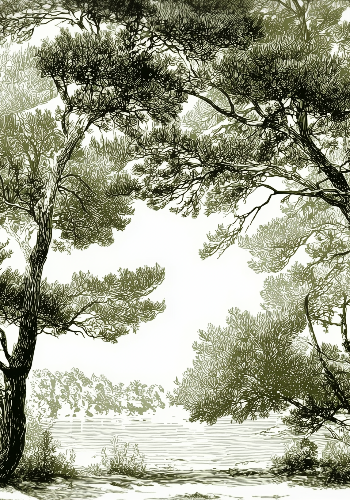 Image croppée