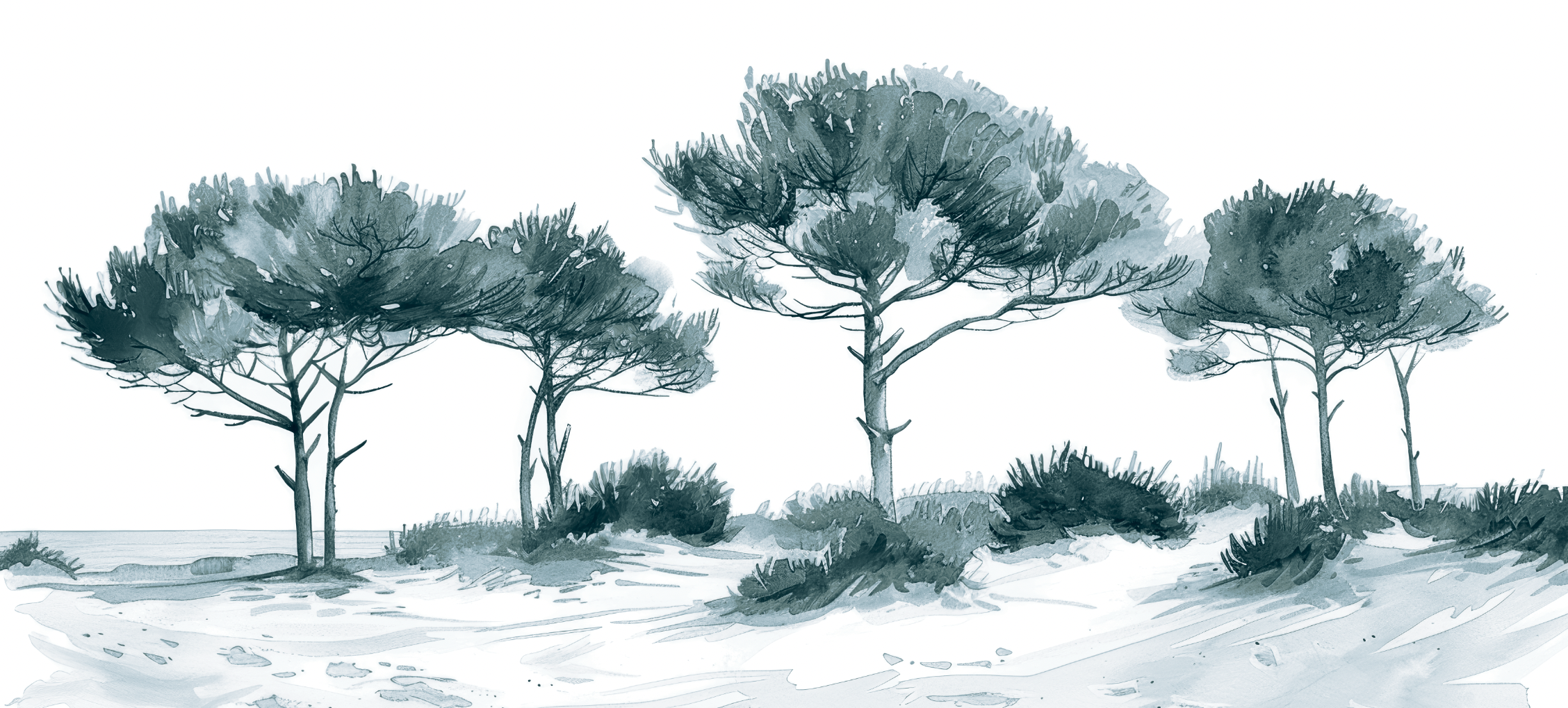 Les Pins de la Plage Bleu gris
