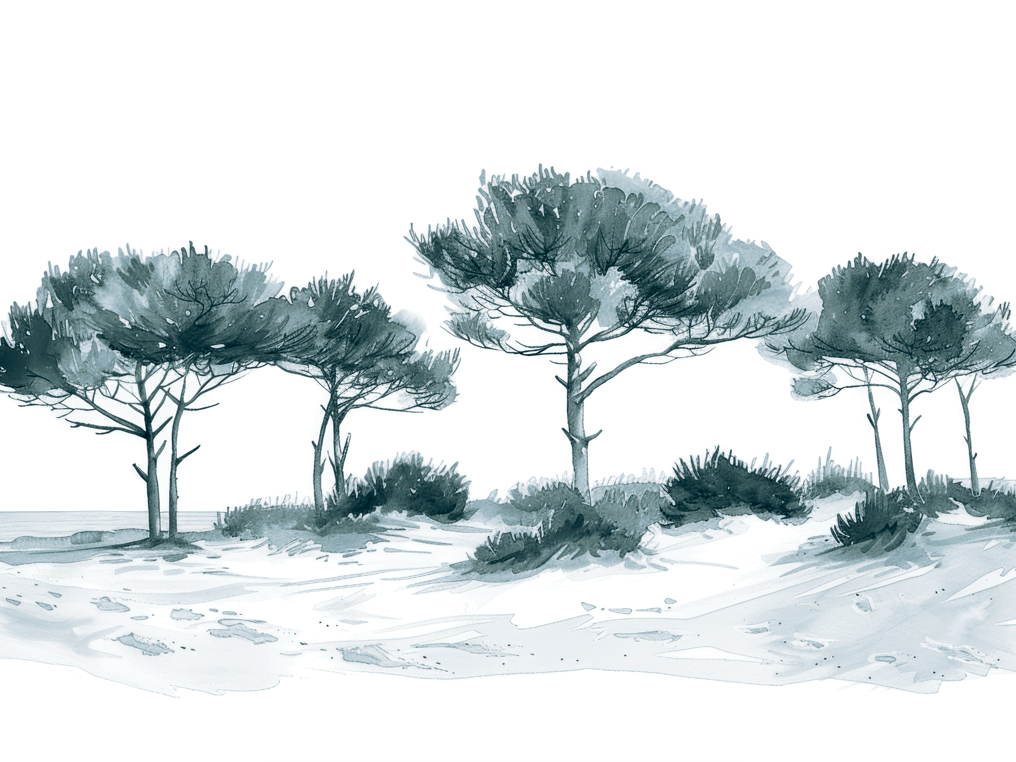 Les Pins de la Plage Bleu gris