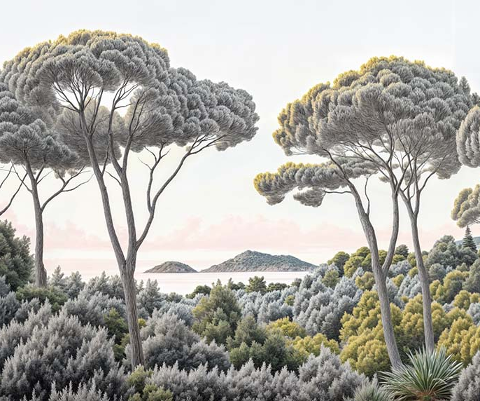 Image croppée