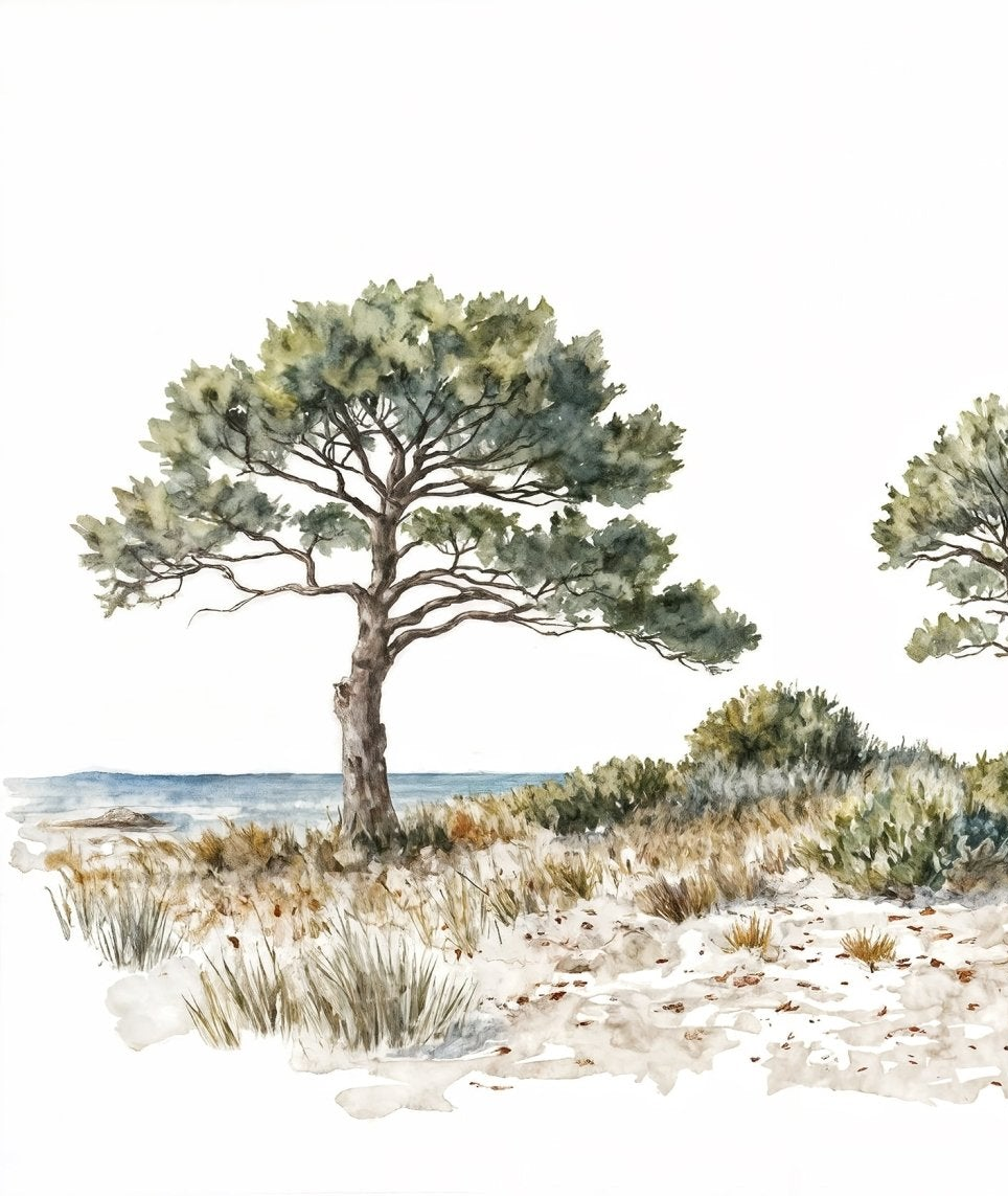Image croppée