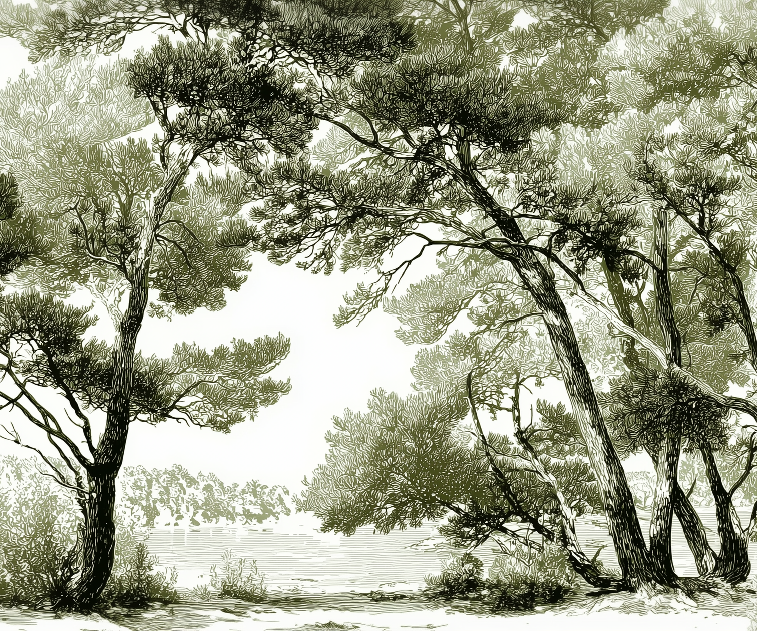 Image croppée