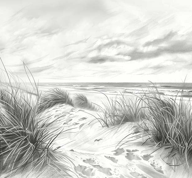 Image croppée