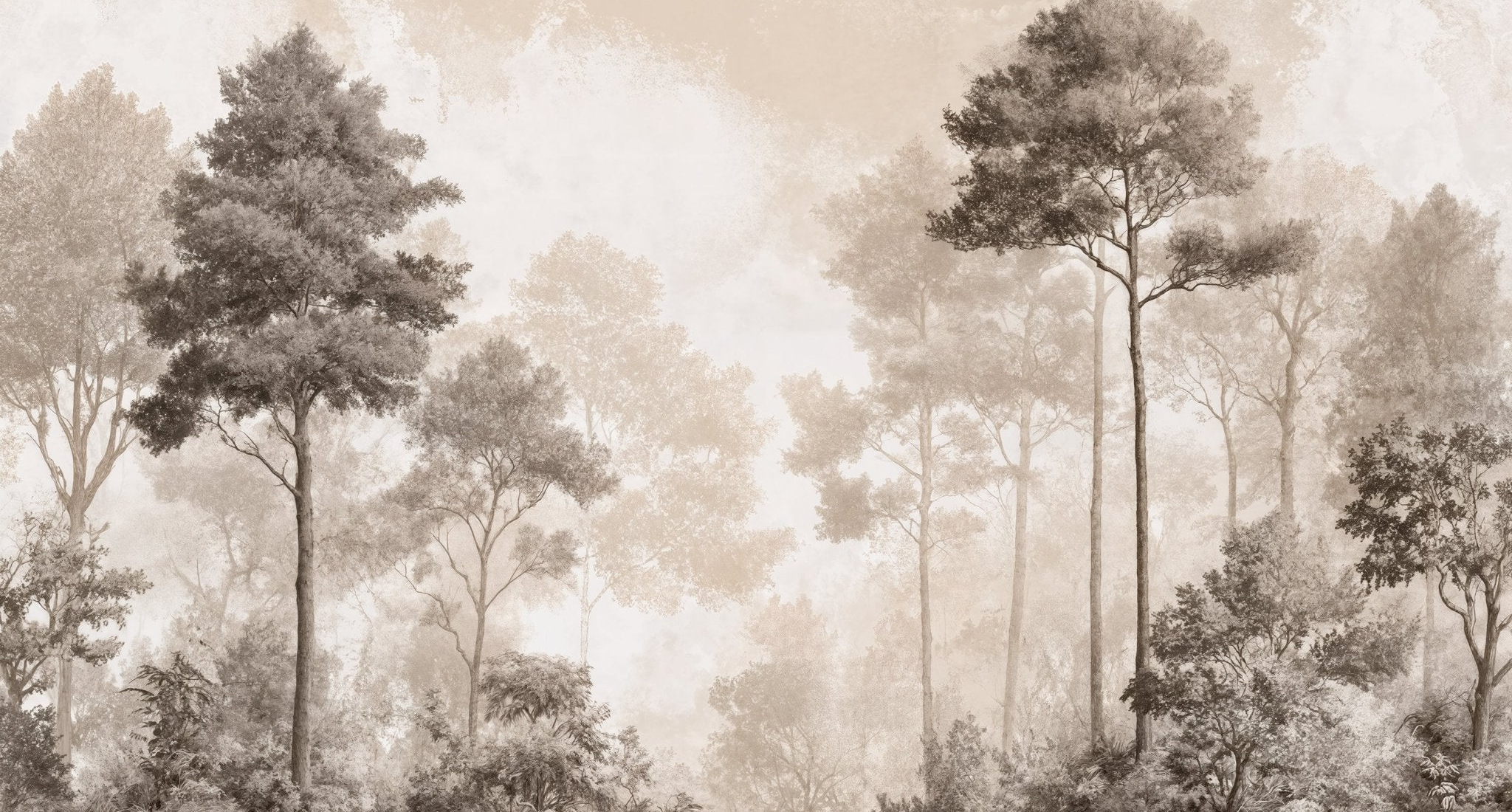 Forêt des Silences