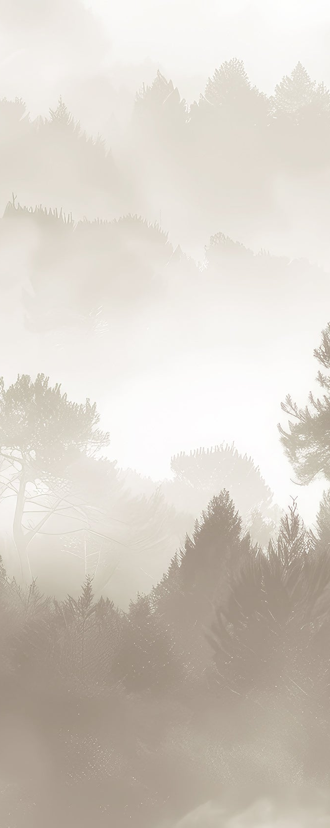 Image croppée