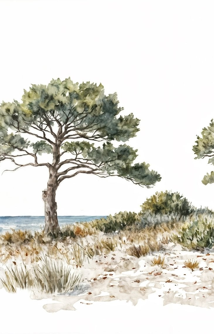 Image croppée