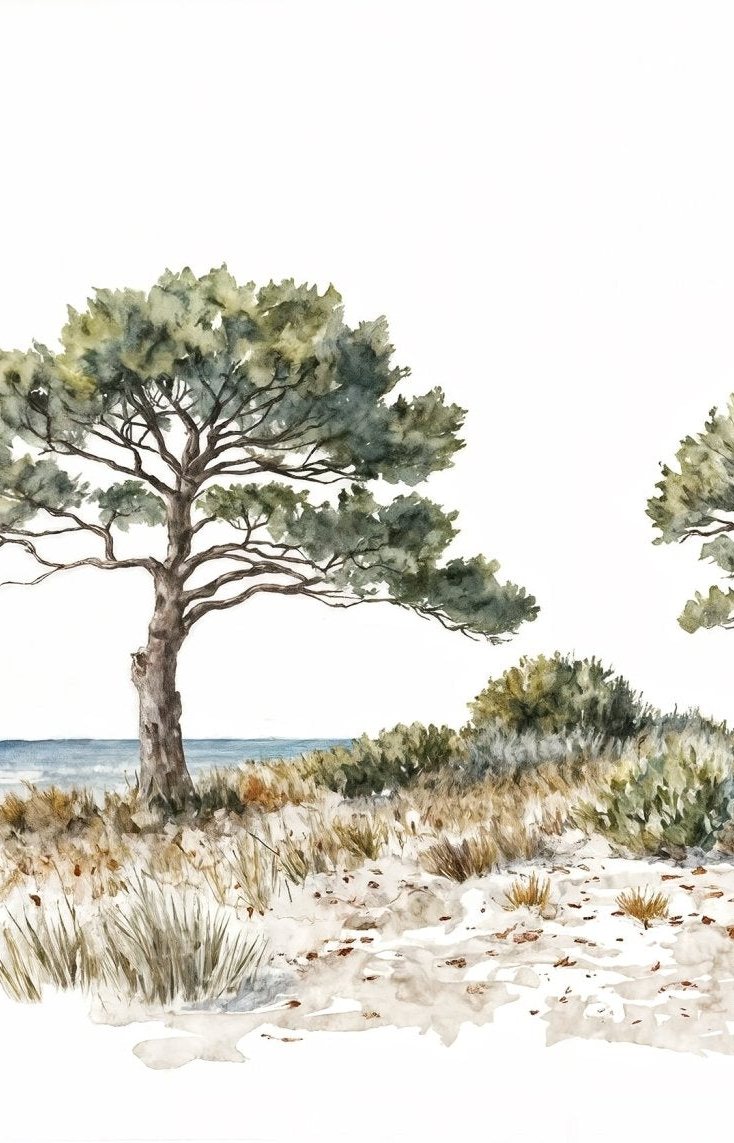 Brise des dunes