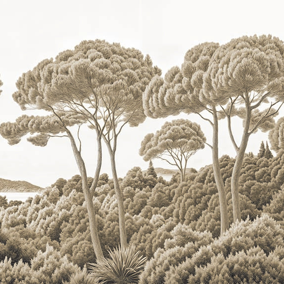 Image croppée