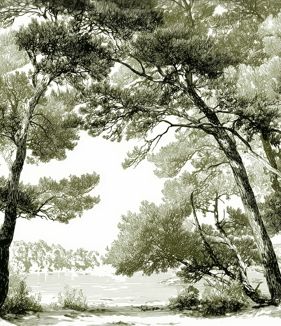 Image croppée