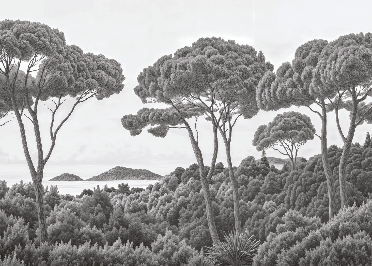 Image croppée