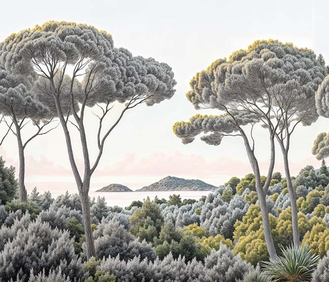 Image croppée