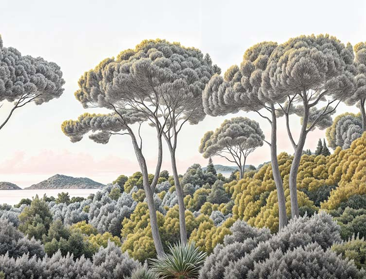 Image croppée