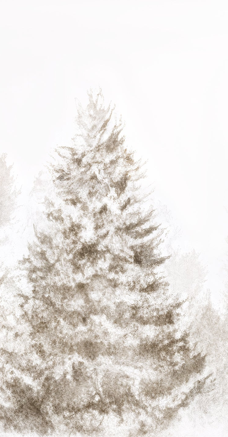Forêt de douceur