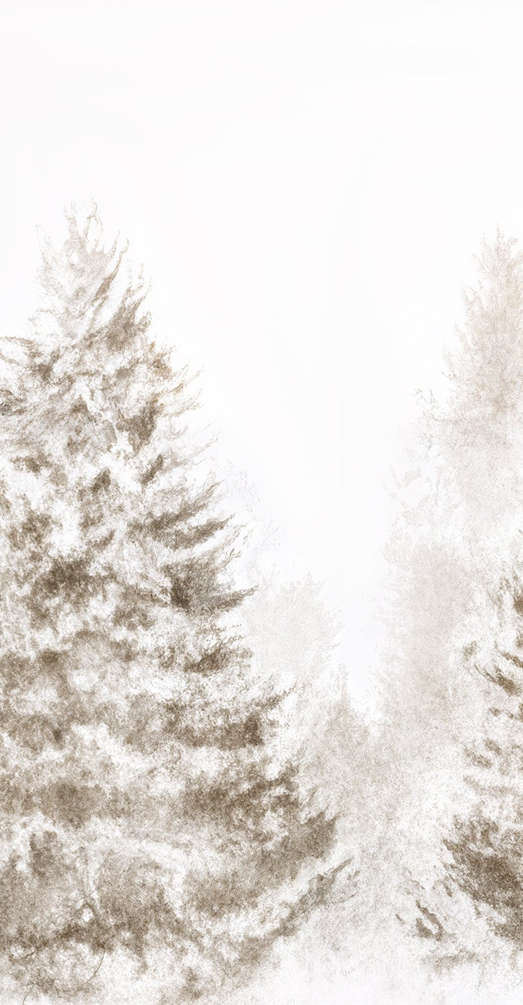 Forêt de douceur