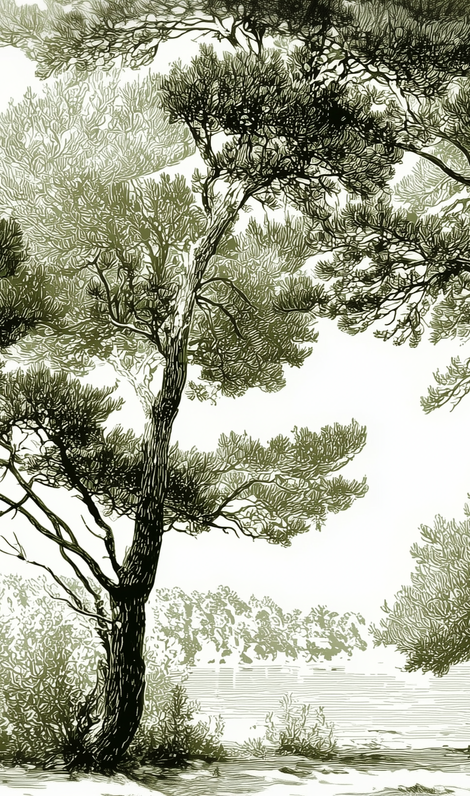 Image croppée
